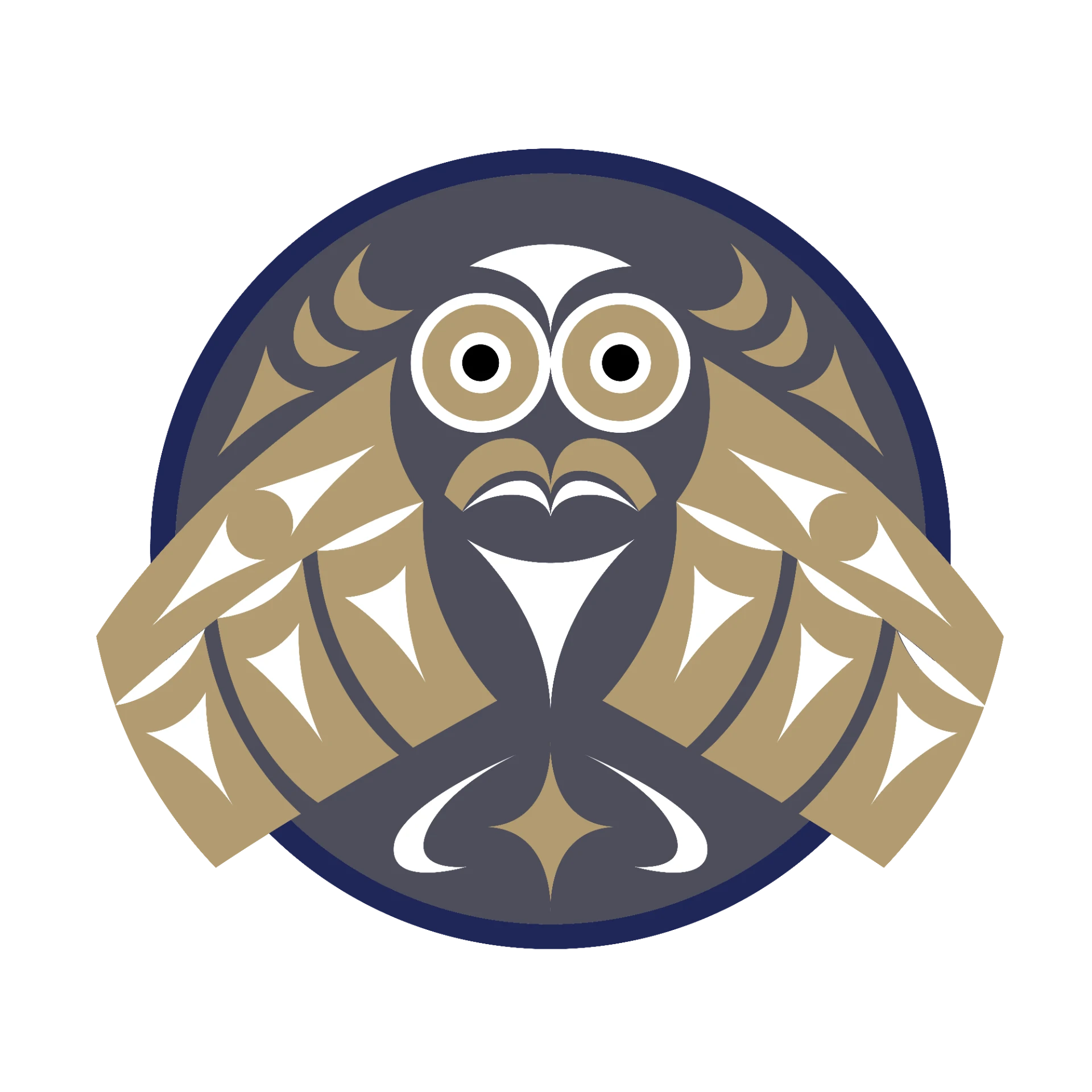Coast Salish Owl design