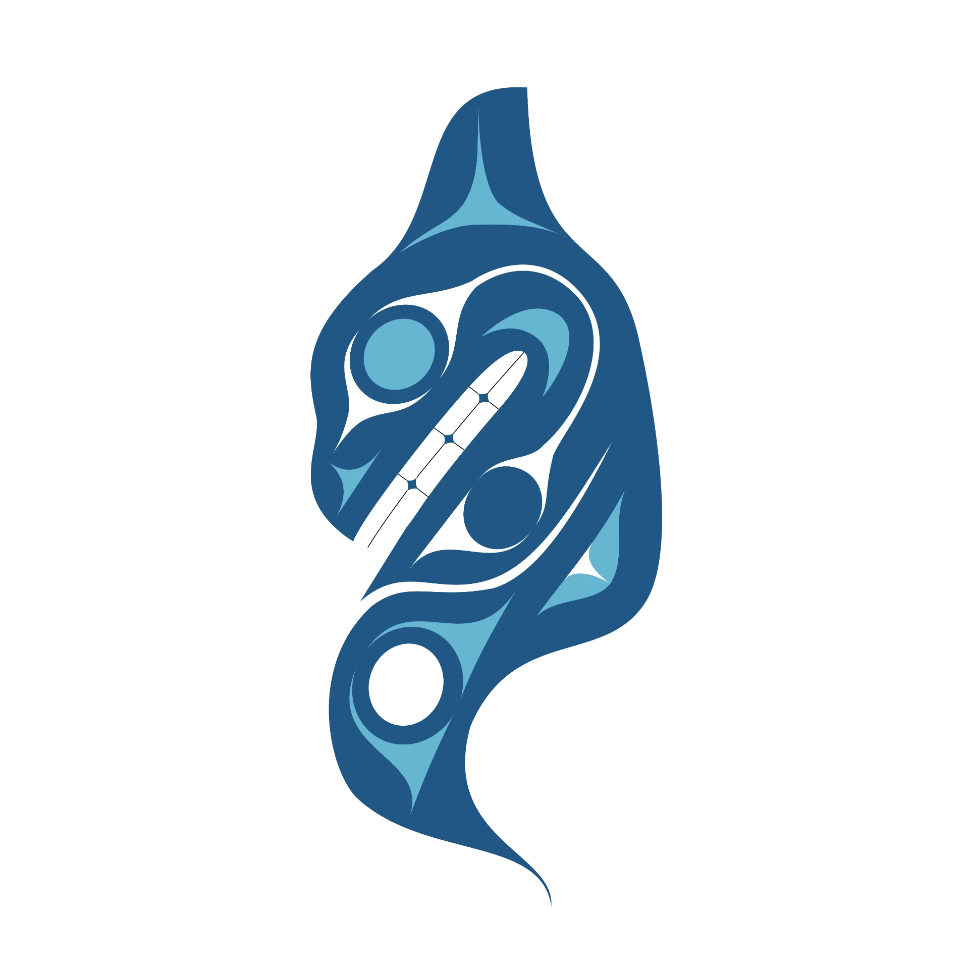 Coast Salish Orca design